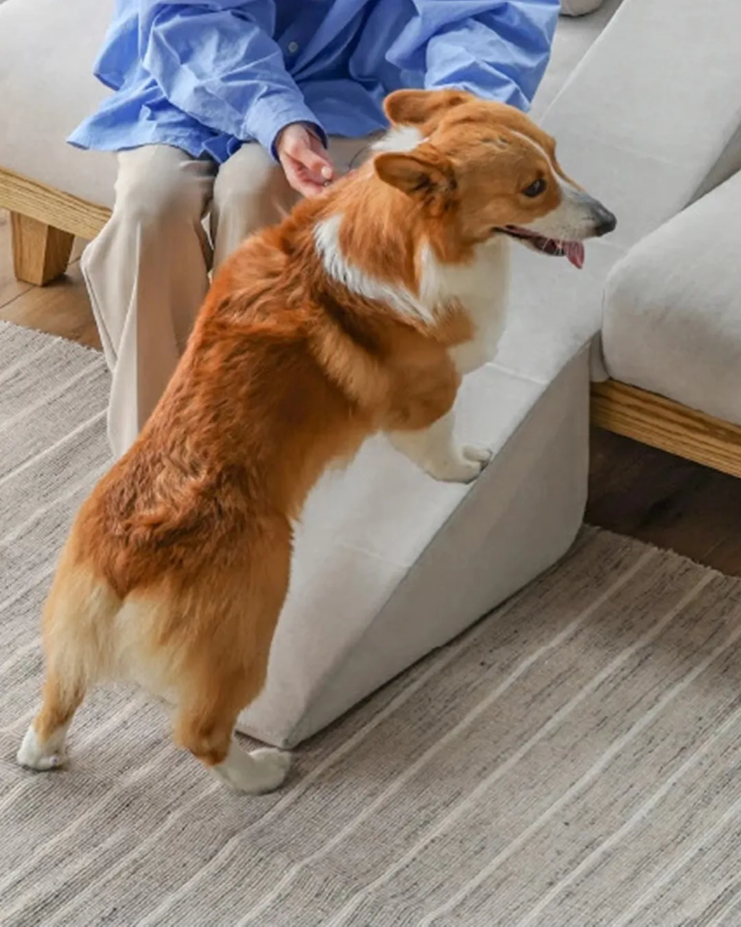 福岡県豊前市のインテリアショップ､マスダホームリビングです！