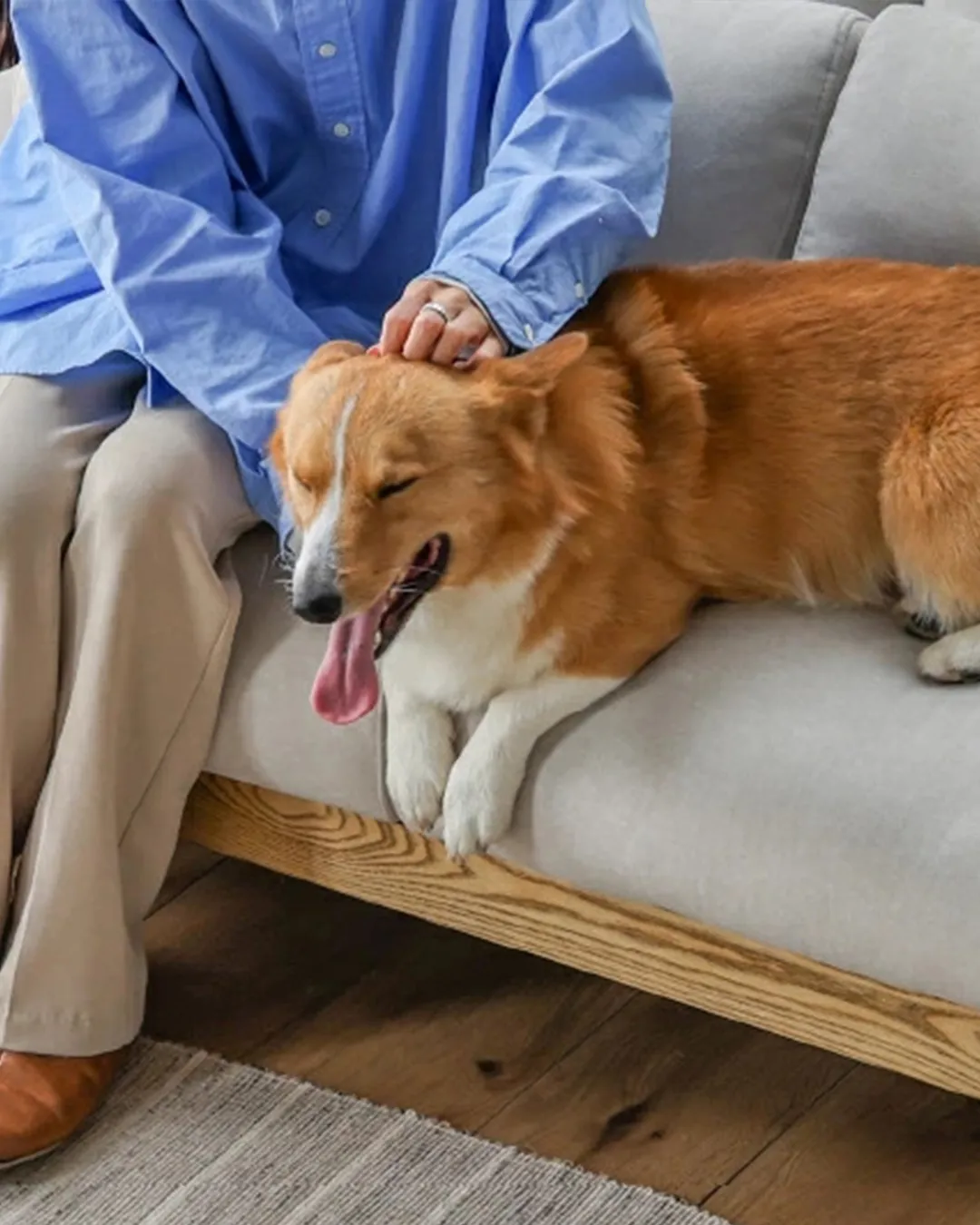 福岡県豊前市のインテリアショップ､マスダホームリビングです！