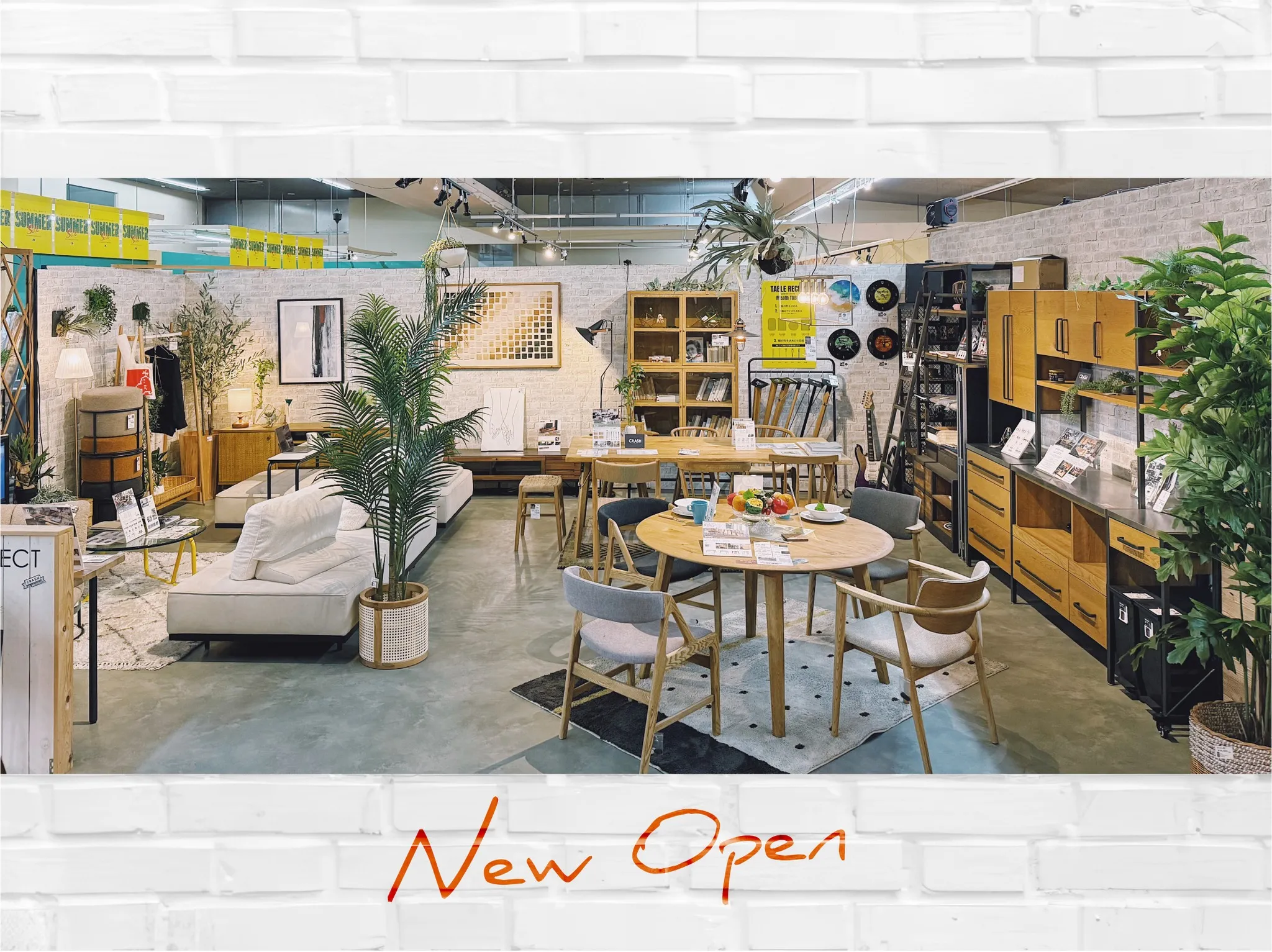 🌿✨マスダホームリビング  新コンセプトゾーン誕生✨🌿