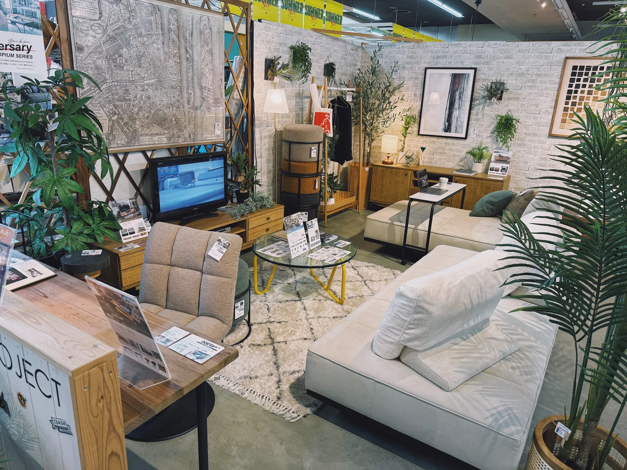 🌿✨マスダホームリビング  新コンセプトゾーン誕生✨🌿