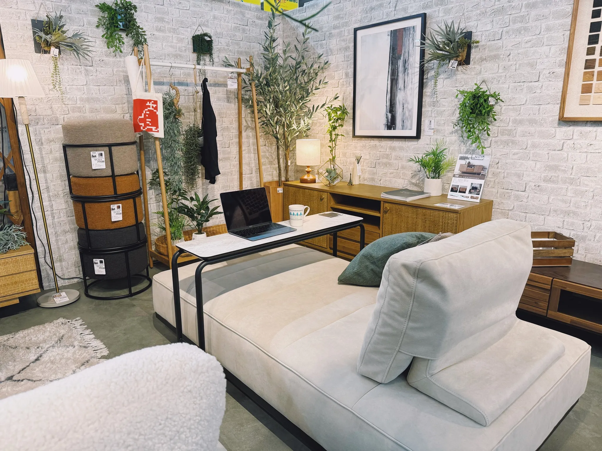 🌿✨マスダホームリビング  新コンセプトゾーン誕生✨🌿