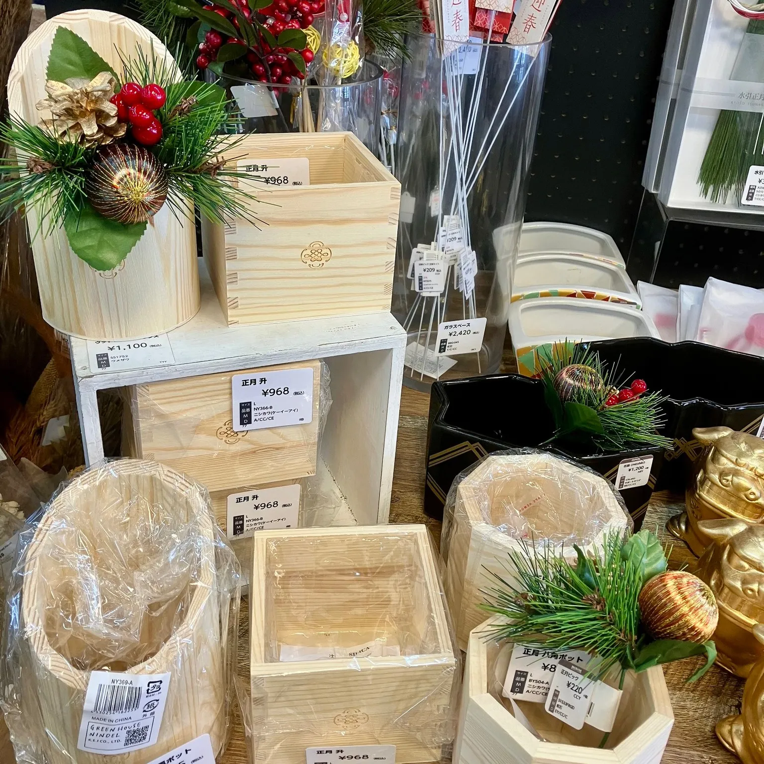 お店に お正月 が咲きました。